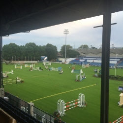 RDS Arena Dublin, Gold Star natural Turf jumping surface 2016