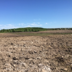 Site ploughed